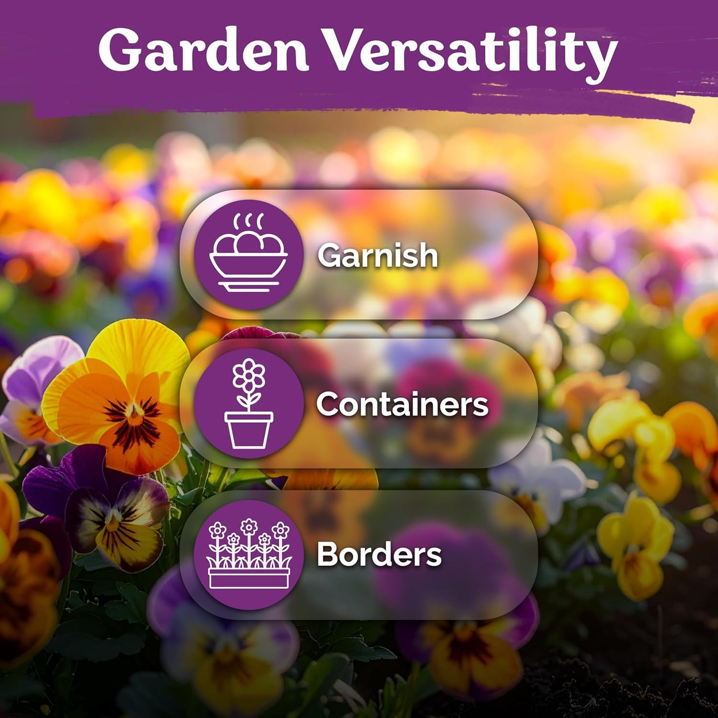 KVITER 1600 Swiss Giants Pansy Seeds - Mixed Colors Edible Blooms for Garden & Containers