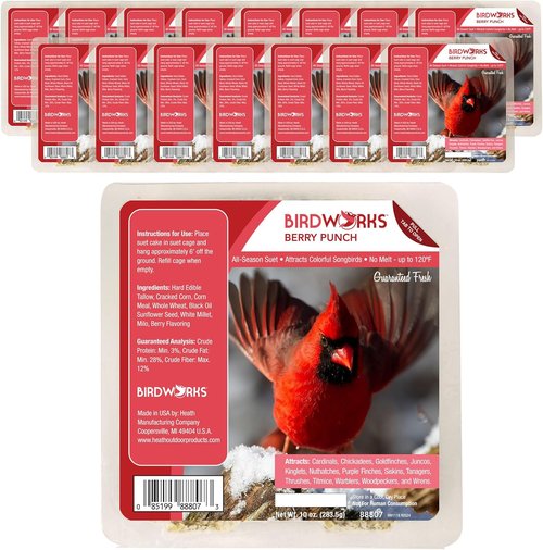 Heath Outdoor Products All-Season No Mess Suet Cake - 10oz Feeder Pack for Wild Birds (16 Count)