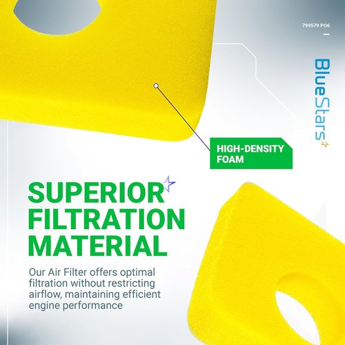 BlueStars Air Cleaner Foam Filter - 6 Pcs Compatible with 09P602, 09P702, 550e-550ex Series