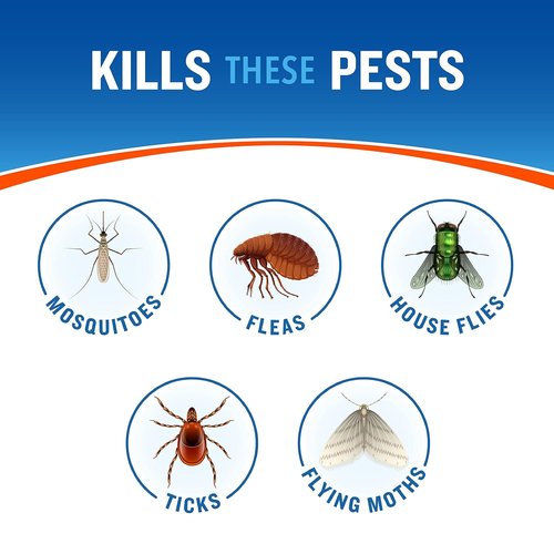 Cutter Backyard Bug Control Spray Concentrate - Kills Mosquitoes & Fleas | 32 fl Ounce (2 Pack)