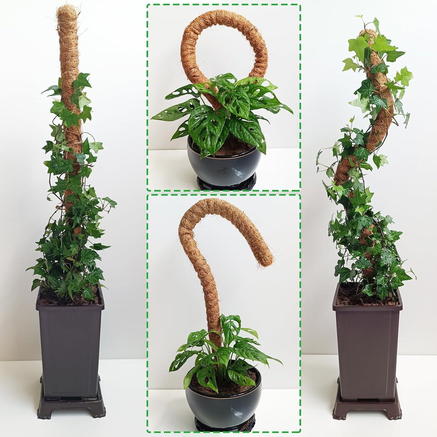Skiennix 25-Inch Bendable Moss Pole - Handmade Coco Coir Support for Climbing Plants