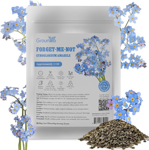 Groundio Forget Me Not Seeds - 6000+ Non-GMO Wildflower Seeds for Outdoor Planting | Bulk 1 Ounce | Heirloom