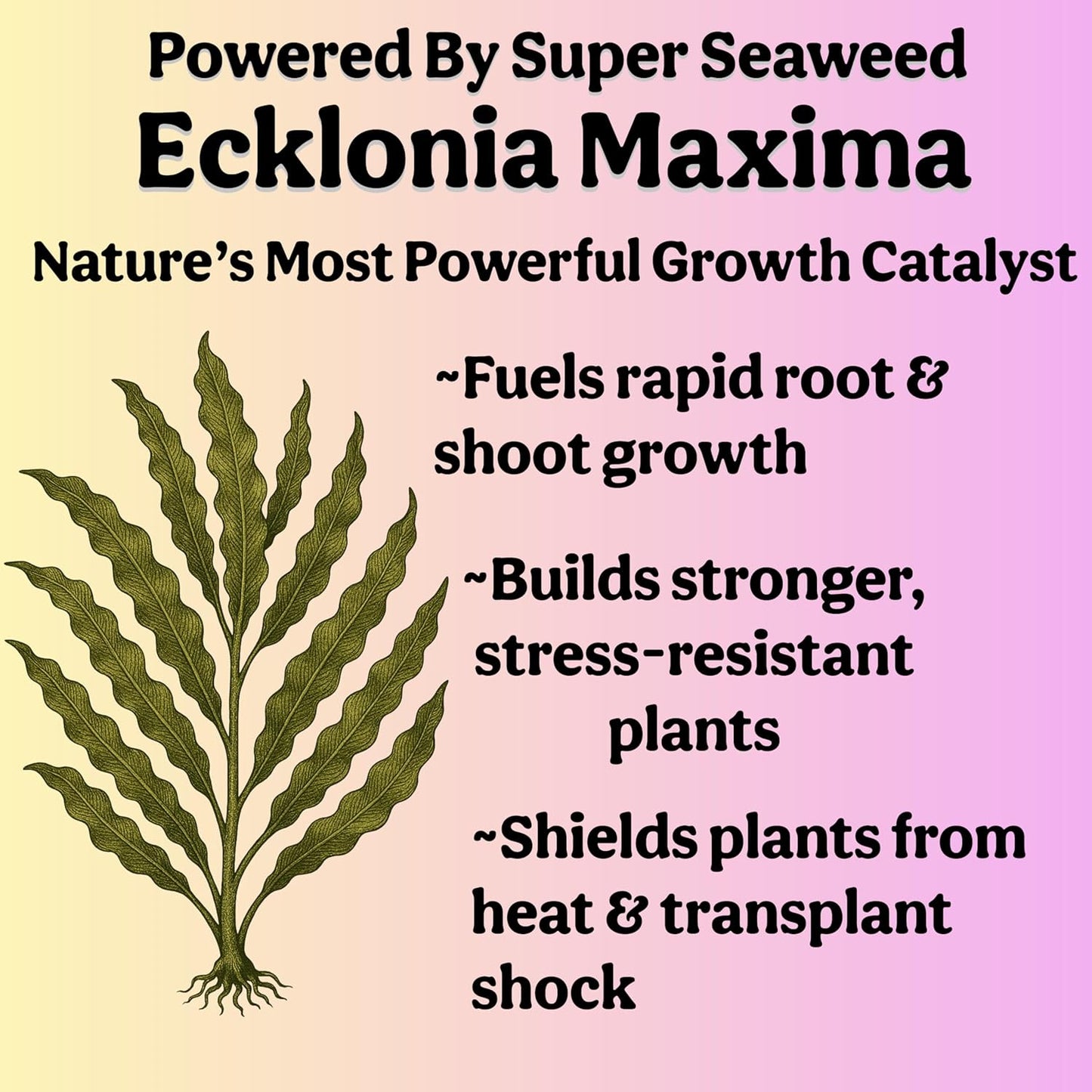 Skiennix Organic Liquid Indoor Plant Food - All-Purpose Fertilizer with Sea Kelp, 8oz Treats 50 Gallons