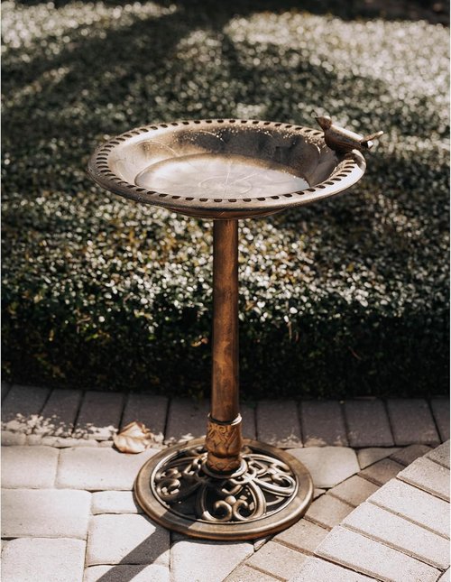 Backyard Expressions Bird Bath - Weather Resistant Bronze Garden Decor - 30 Inch Outdoor Size