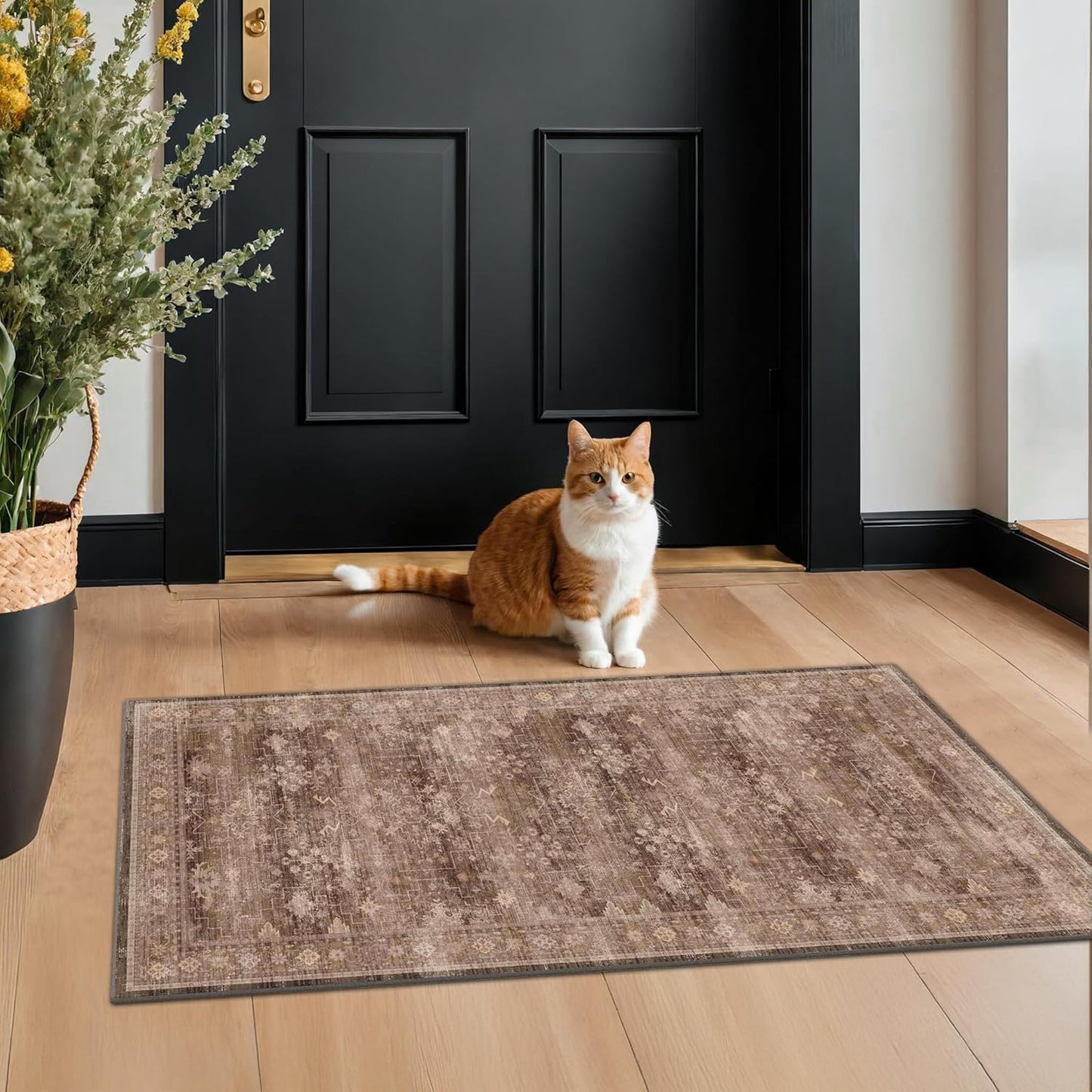 Regine Switzerland Brown 2x4 Entryway Runner Rug - Non-Slip, Washable, Vintage Taupe for Indoor Use