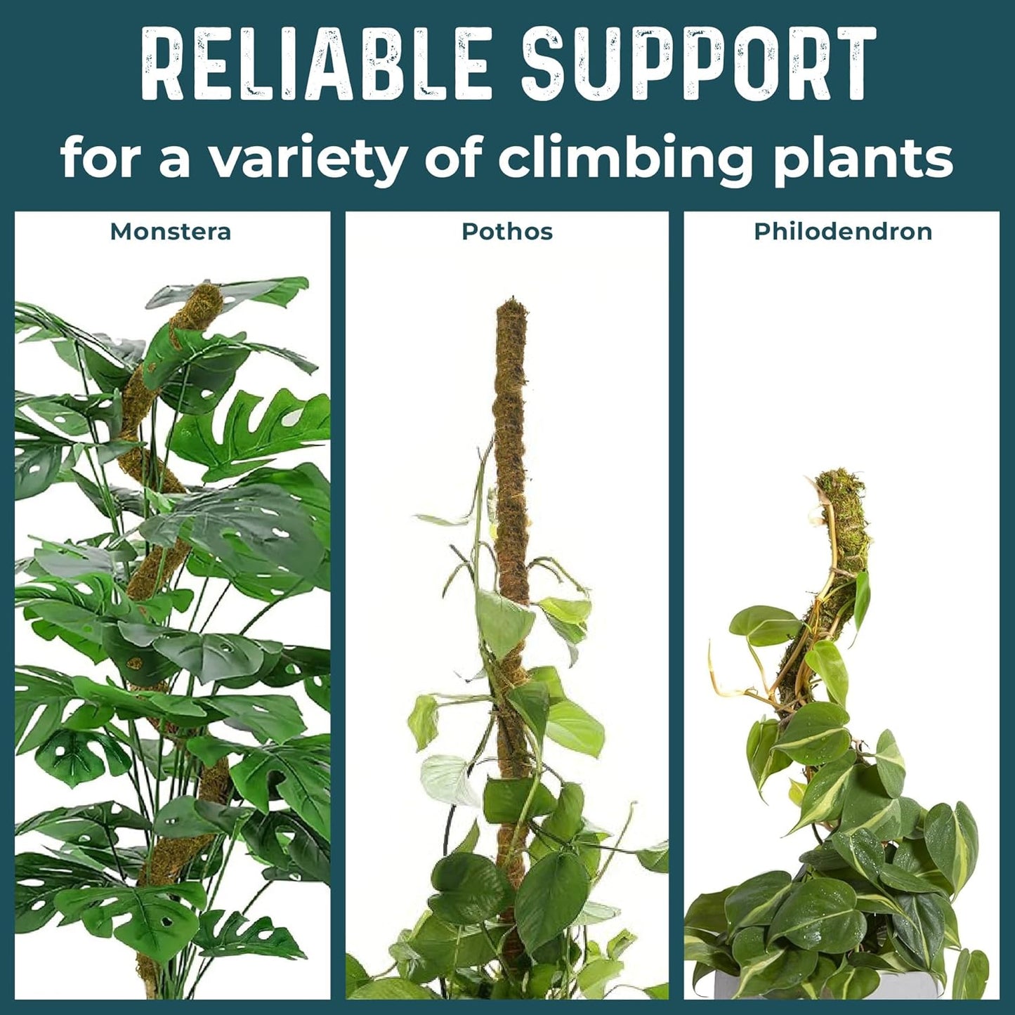 K-Brands Coco Coir Moss Poles - 4 Pack Plant Support for Climbing Monstera - 2 x 42'' & 2 x 25''