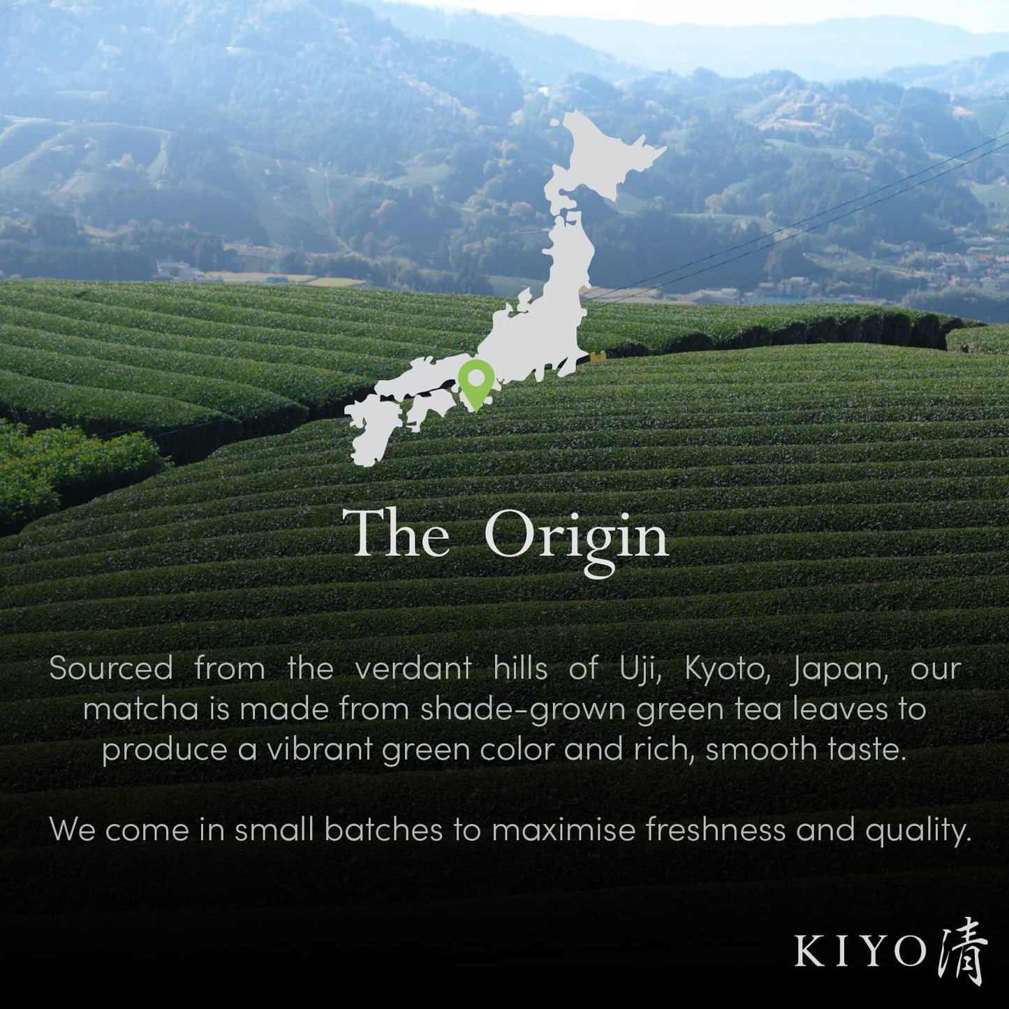 Kiyo Matcha Ceremonial Uji Matcha - Pure Japanese First Harvest Green Tea Powder (40g/1.41oz)