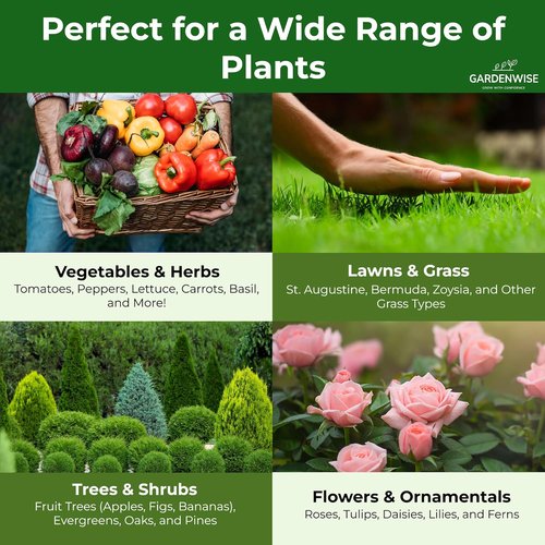 10-10-10 Plant Fertilizer - Slow Release All-Purpose Granular for Vegetables & Flowers | 1/2 Quart