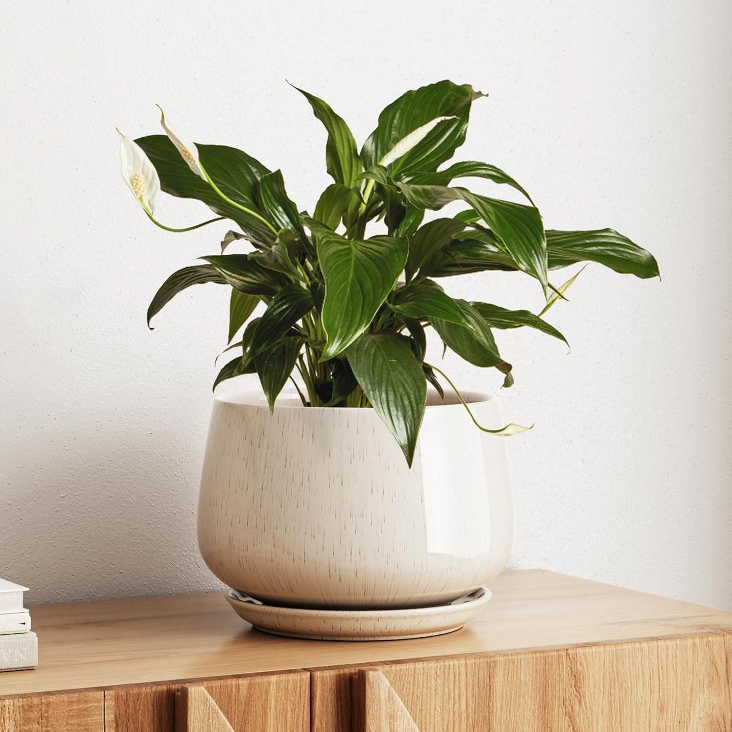 LE TAUCI Ceramic Planter - 10 Inch Pot with Drainage Hole & Saucer | Durable Reactive Glaze Beige for Modern Decor
