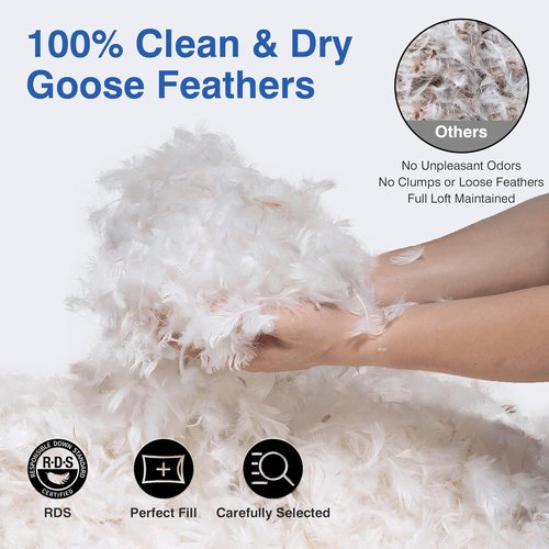 Feather Pillows by [Brand Name] | Queen Size Set of 2 - Soft Goose Down Hotel Bed Pillows with 600 Thread Count Cotton Cover for All Sleepers