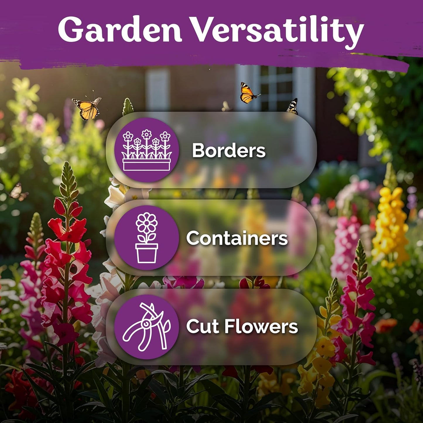 KVITER Snapdragon Seeds - 1,500 Heirloom & Organic Tetra Mix for Vibrant Annual Flower Gardens