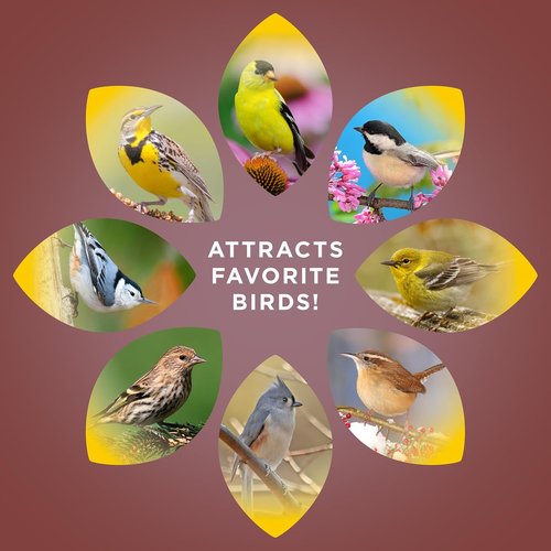 Audubon Park Sunflower Hearts & Chips - No Mess Wild Bird Food, 5-Pound Bag for Easy Feeding