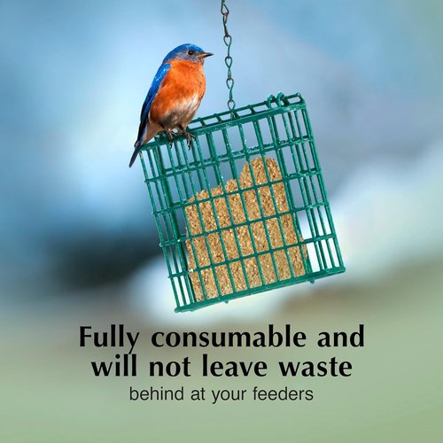 C&S Mealworm Delight Suet Cakes - No Melt Formula for Wild Birds | 11.75 Ounces, Pack of 8