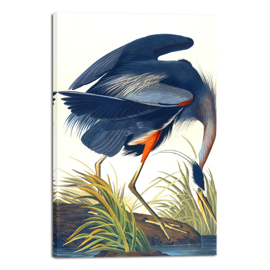 Wieco Art Canvas Print Wall Art Great Blue Heron by John James Audubon Vintage Poster Birds of America Antique Bird Illustration Wall Art for Living Room Home Kitchen Decorations