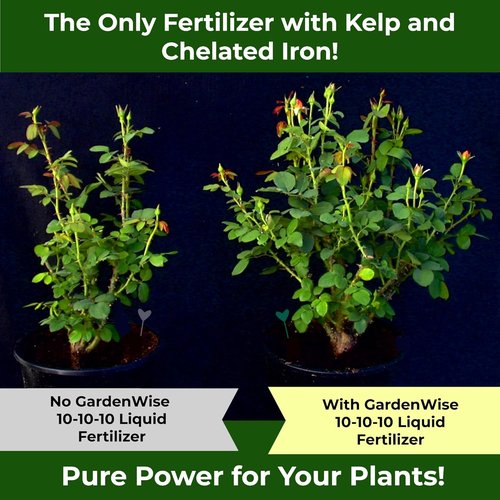 GardenWise 10-10-10 All-Purpose Plant Food - Liquid Fertilizer with Seaweed Kelp & Iron | 8oz for Indoor & Outdoor Use