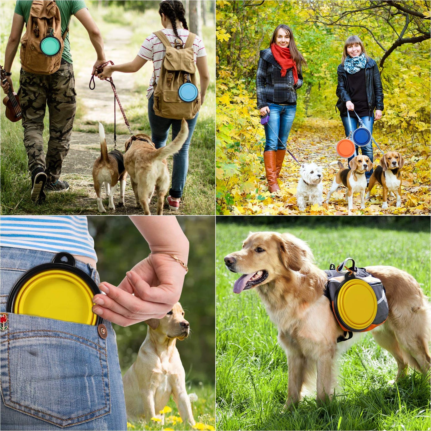ME.FAN Collapsible Dog Bowl for Travel (12oz), 6 Pack Portable Pet Bowl with Carabiners, Foldable, Expandable