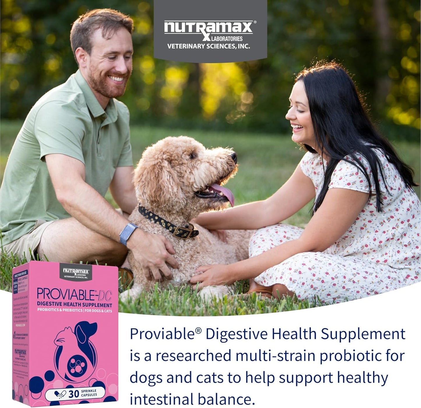 Nutramax Proviable Probiotics for Dogs & Cats - Daily Digestive Health Supplement with Prebiotics | 30 Capsules