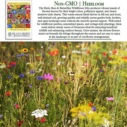 Isla’s Garden Seeds Wildflower Mix – 500+ Non-GMO Heirloom Seeds for Colorful Pollinator Gardens