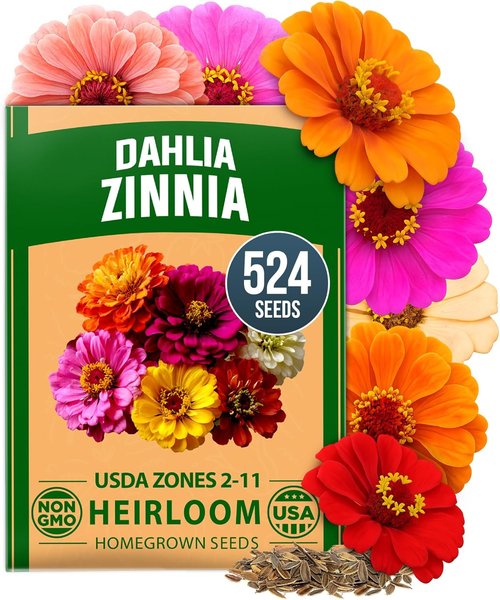 HOME GROWN Zinnia Dahlia Seeds - 524 Non-GMO Flower Seeds for Vibrant Pollinator Gardens & Borders