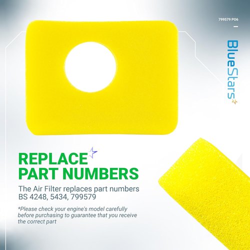 BlueStars Air Cleaner Foam Filter - 6 Pcs Compatible with 09P602, 09P702, 550e-550ex Series