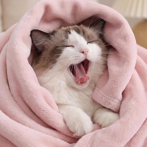 Bedsure GentleSoft Fleece Bed Blanket - Soft, Lightweight, Plush Cozy Luxury in Pink | Full Size 84x90 Inches