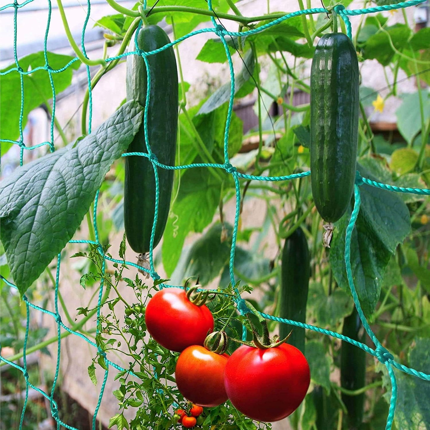 Trellis Netting - Heavy Duty Garden Trellis for Climbing Plants, Cucumber & Tomato - 8.2' x 6.6' Ft