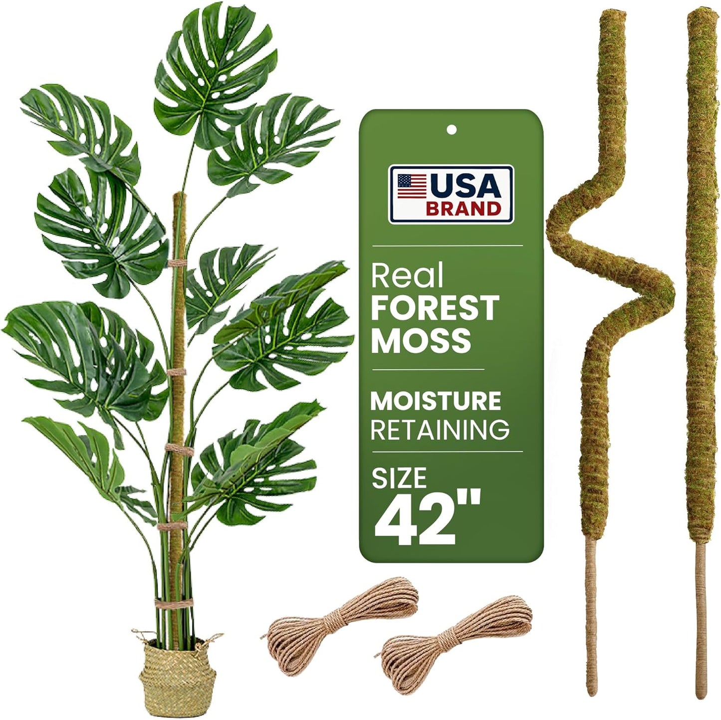 Regine Switzerland 2-Pack 42'' Bendable Moss Pole - Real Forest Moss Plant Support for Indoor Climbing Plants
