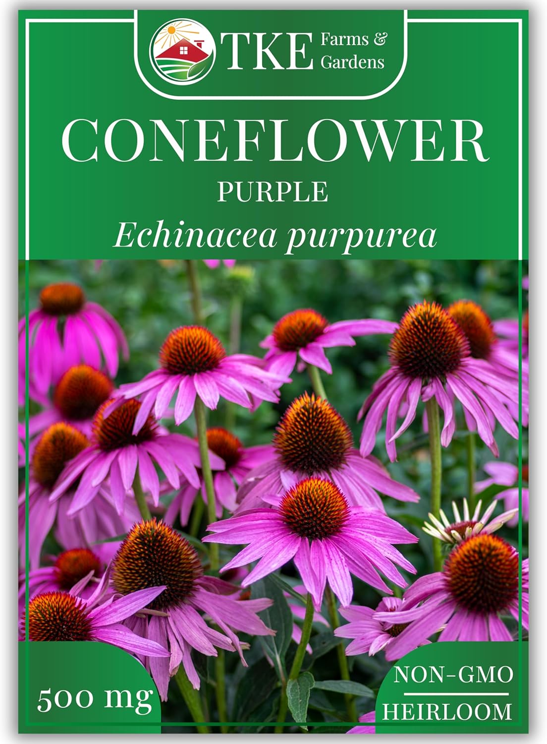 TKE Farms & Gardens - Purple Coneflower Seeds | 90+ Non-GMO Heirloom Echinacea for Stunning Blooms