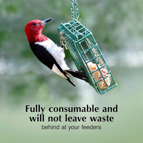 C&S Woodpecker Delight Suet Cakes - No Melt Formula for Wild Birds | 11.75 Ounces, Pack of 8