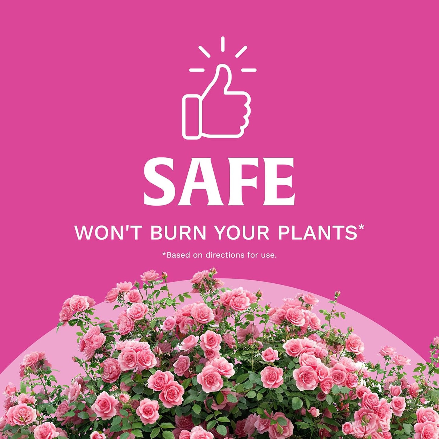 Scotts Rose & Bloom Plant Food - Continuous Release Formula for Vibrant Blooms | 3 lb
