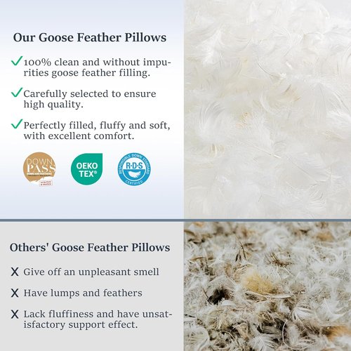 COZSINOOR Goose Feather Pillows - Queen Size Set of 2 | Soft 600 TC Cotton Cover, Fluffy Down Alternative for All Sleepers