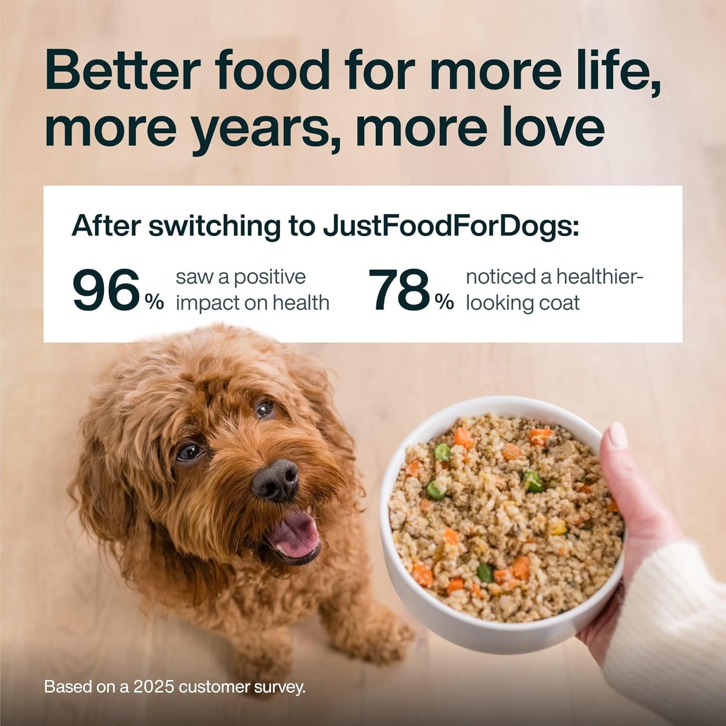 JustFoodForDogs JustFresh Boost Dog Food Toppers - Sensitive Skin & Immune Support, 8 oz Pouches | 8 Pack