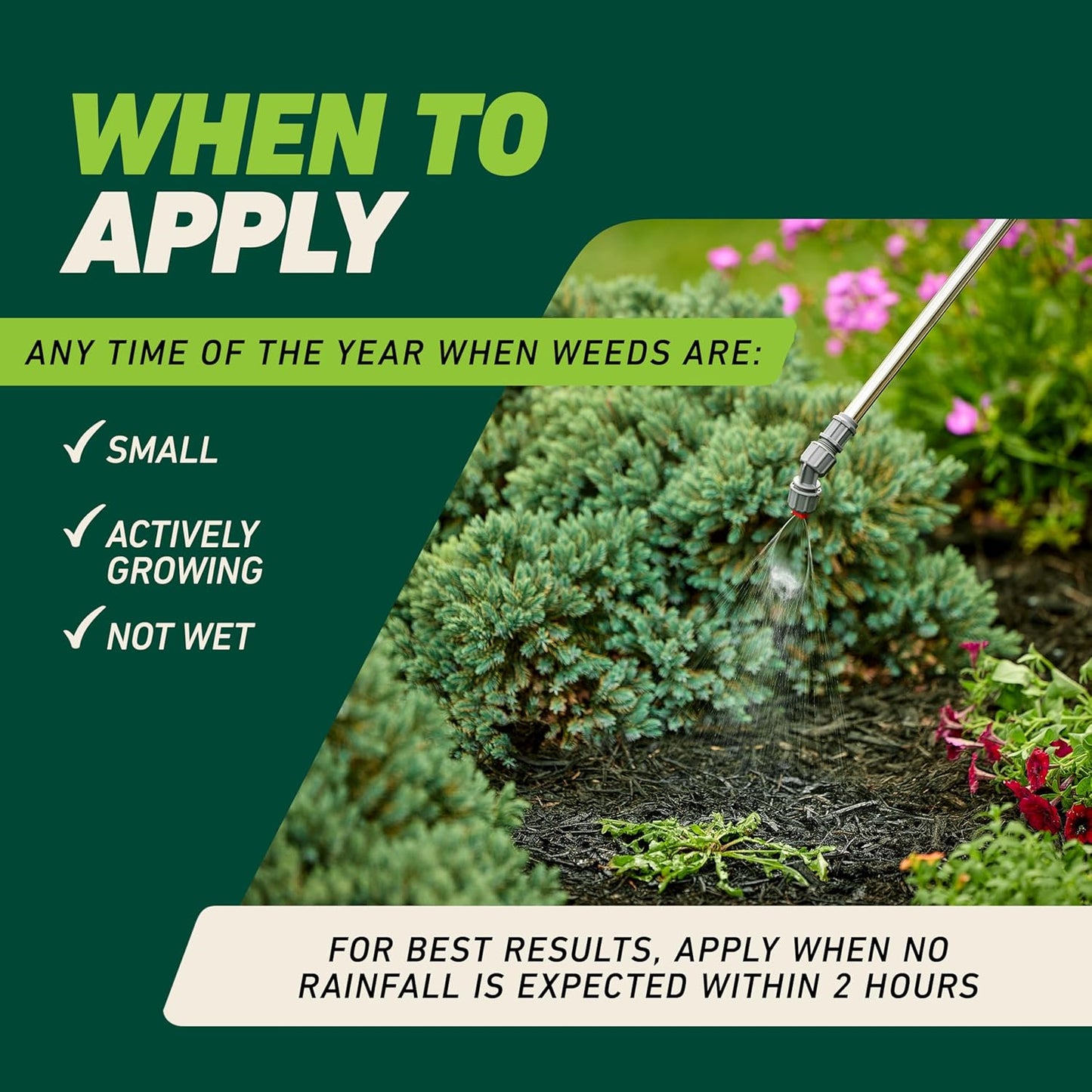 Ortho GroundClear Weed Killer Concentrate - Kills Dandelions, Crabgrass & More | 32 Fl. Oz.