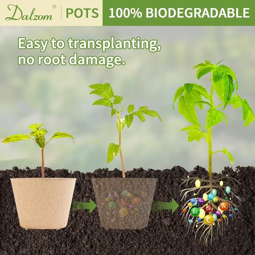 Dalzom® 60Pcs Biodegradable 4” Peat Pots - Perfect for Seedlings with Drainage Holes & Labels