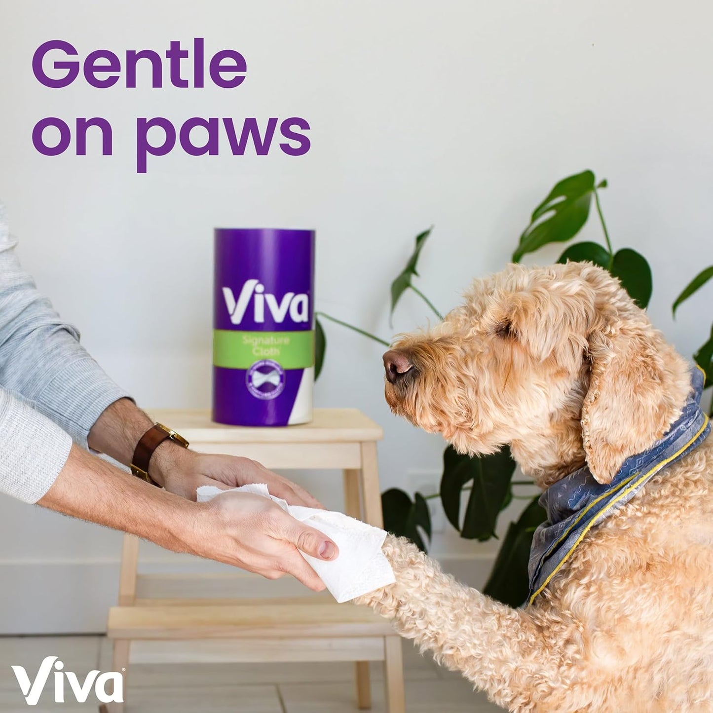 Viva Signature Cloth Paper Towels - 12 Triple Rolls with 141 Sheets Each for Superior Absorbency