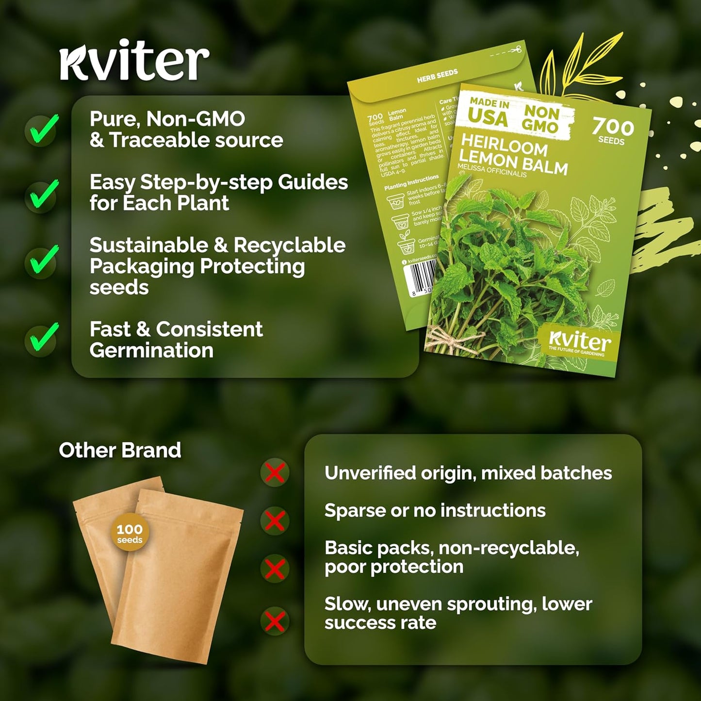 KVITER Lemon Balm Seeds - Organic Heirloom Melissa Officinalis for Calming Tea | Indoor & Outdoor Herb Garden