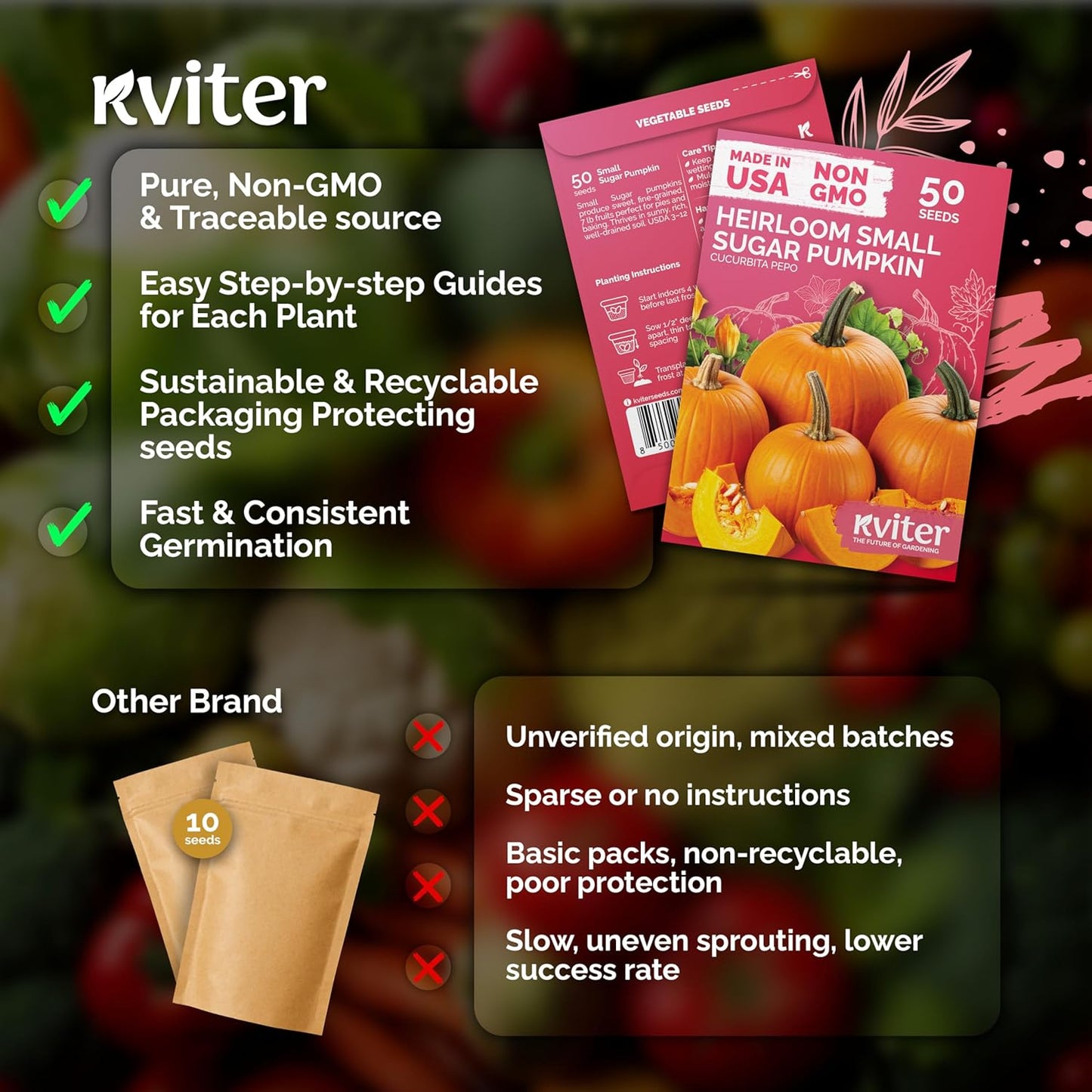 KVITER Organic Sugar Pumpkin Seeds - Heirloom Cucurbita Pepo for Sweet Pies & Canning | Perfect for Outdoor Gardens
