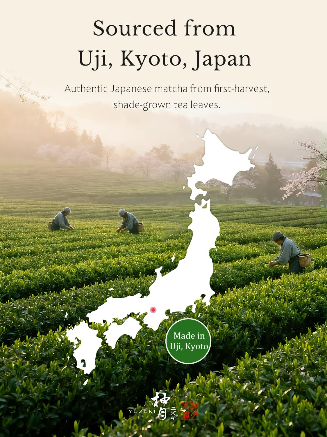 YUZUKI Matcha Powder - Ceremonial Grade Green Tea from Uji Kyoto - Zero Sugar - 40g (1.4 oz)