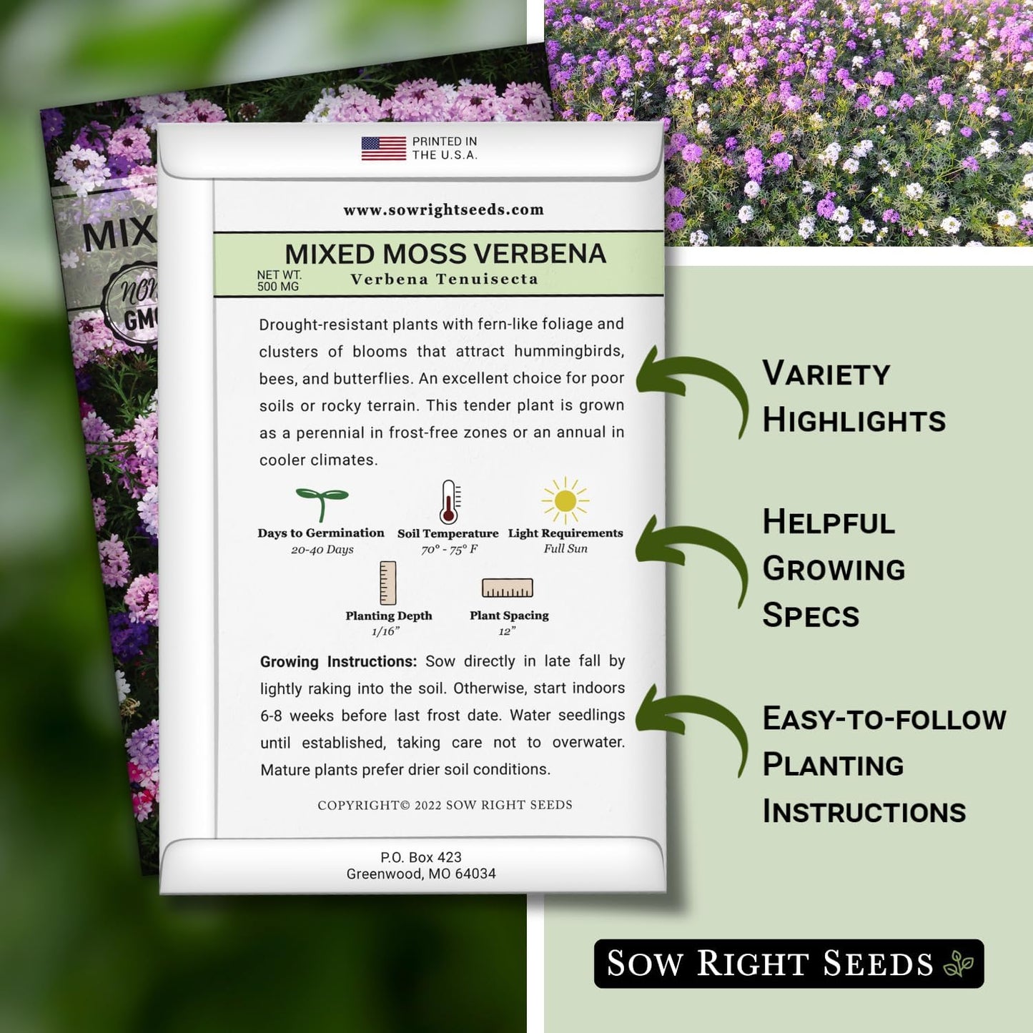 Sow Right Seeds - Mixed Moss Verbena Flower Seeds | Non-GMO Heirloom for Vibrant Ground Cover