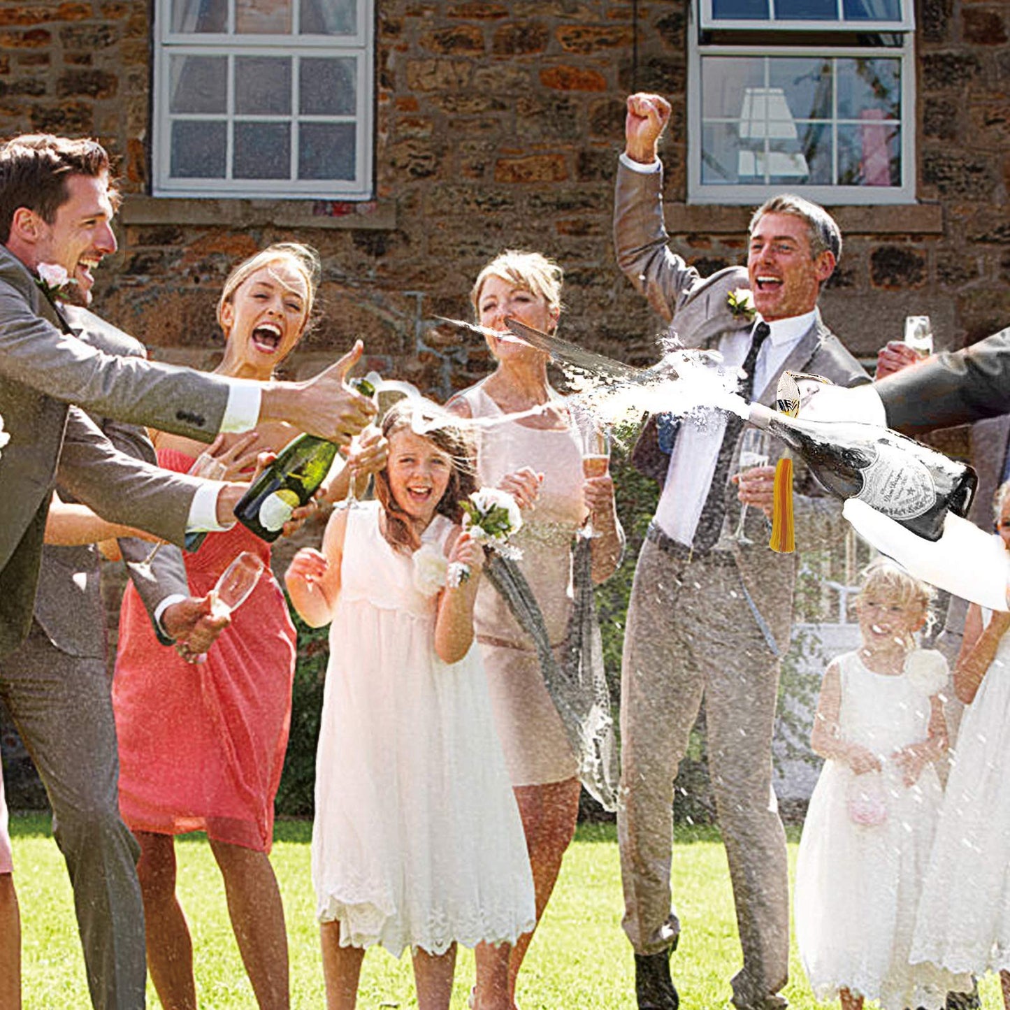 Resafy Champagne Saber Champagne Golden Handle Knife Champagne Sword Champagne Opener With Gift Case for Party Wedding