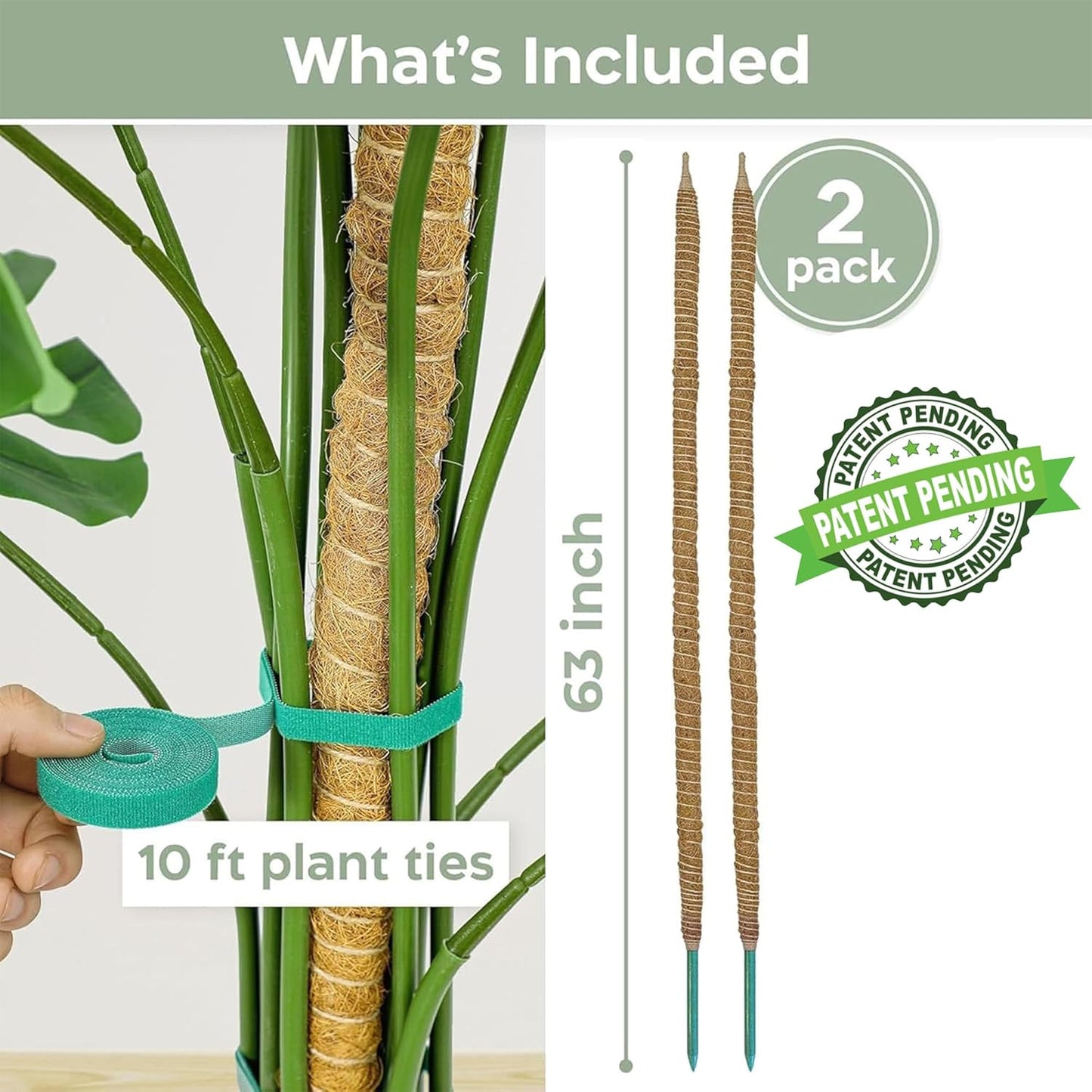 Monstera Moss Pole - 2 Pack 63'' Bendable Plant Support for Large Indoor Climbers | Durable Trellis Stakes