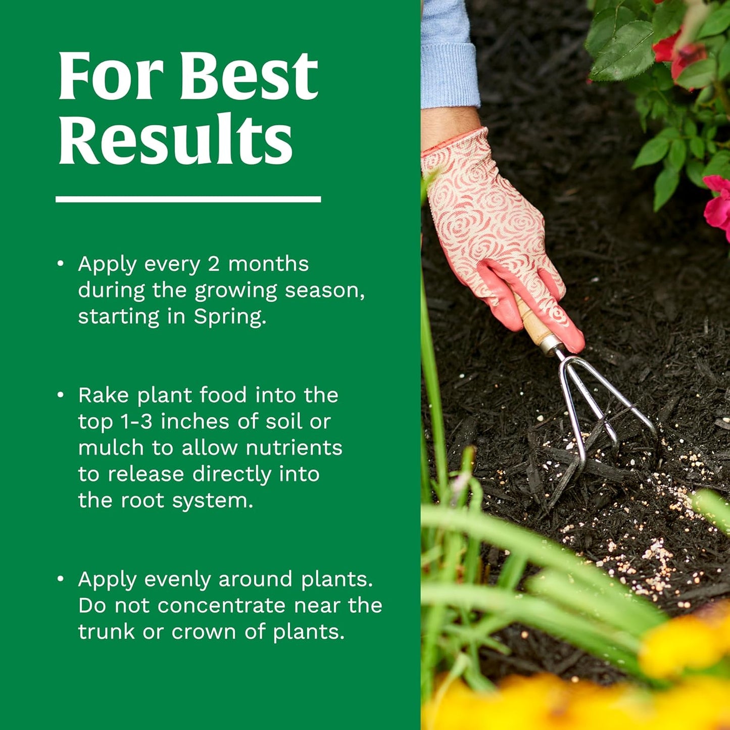 Scotts All-Purpose Plant Food - Continuous Release Formula for Outdoor Flowers & Vegetables | 3 lb
