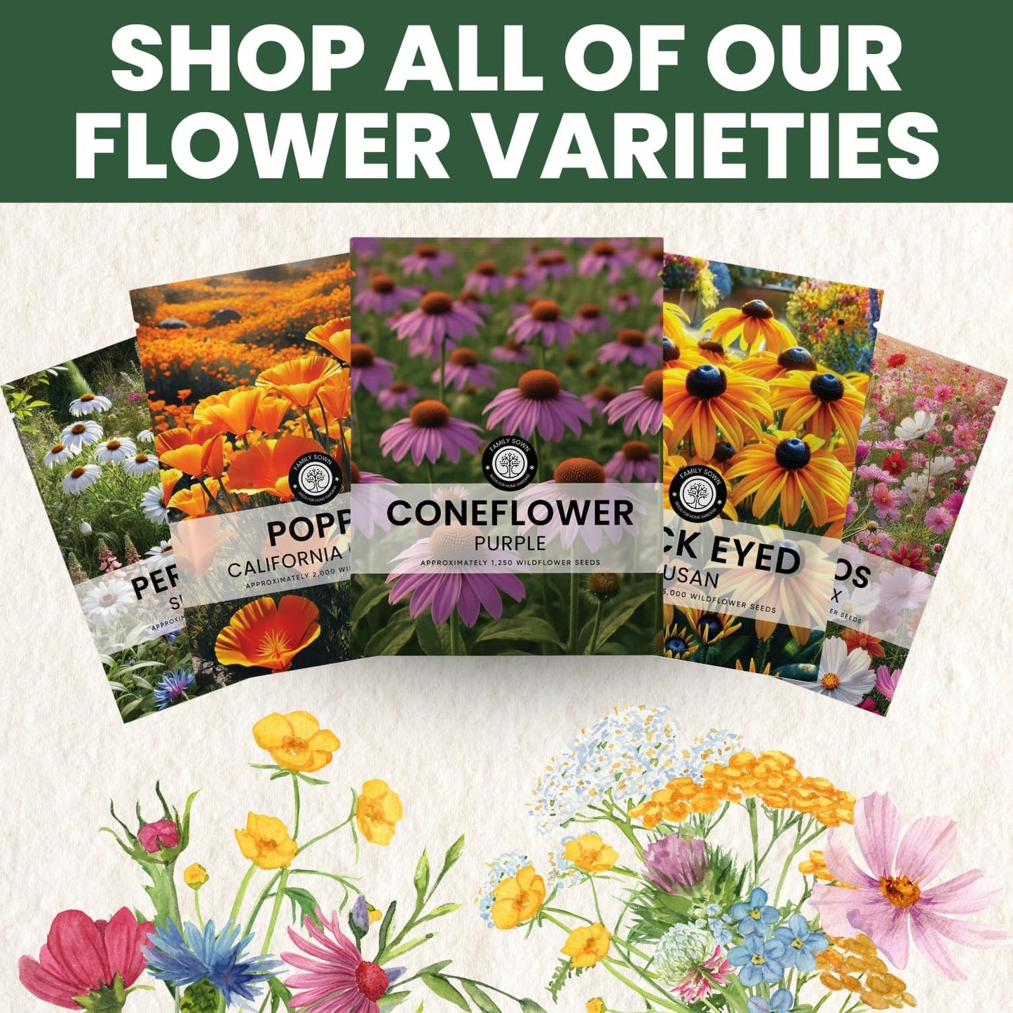 Purple Coneflower Seeds - 7,000 Premium Seeds for Planting - 1 Ounce Pouch for 2026 Season