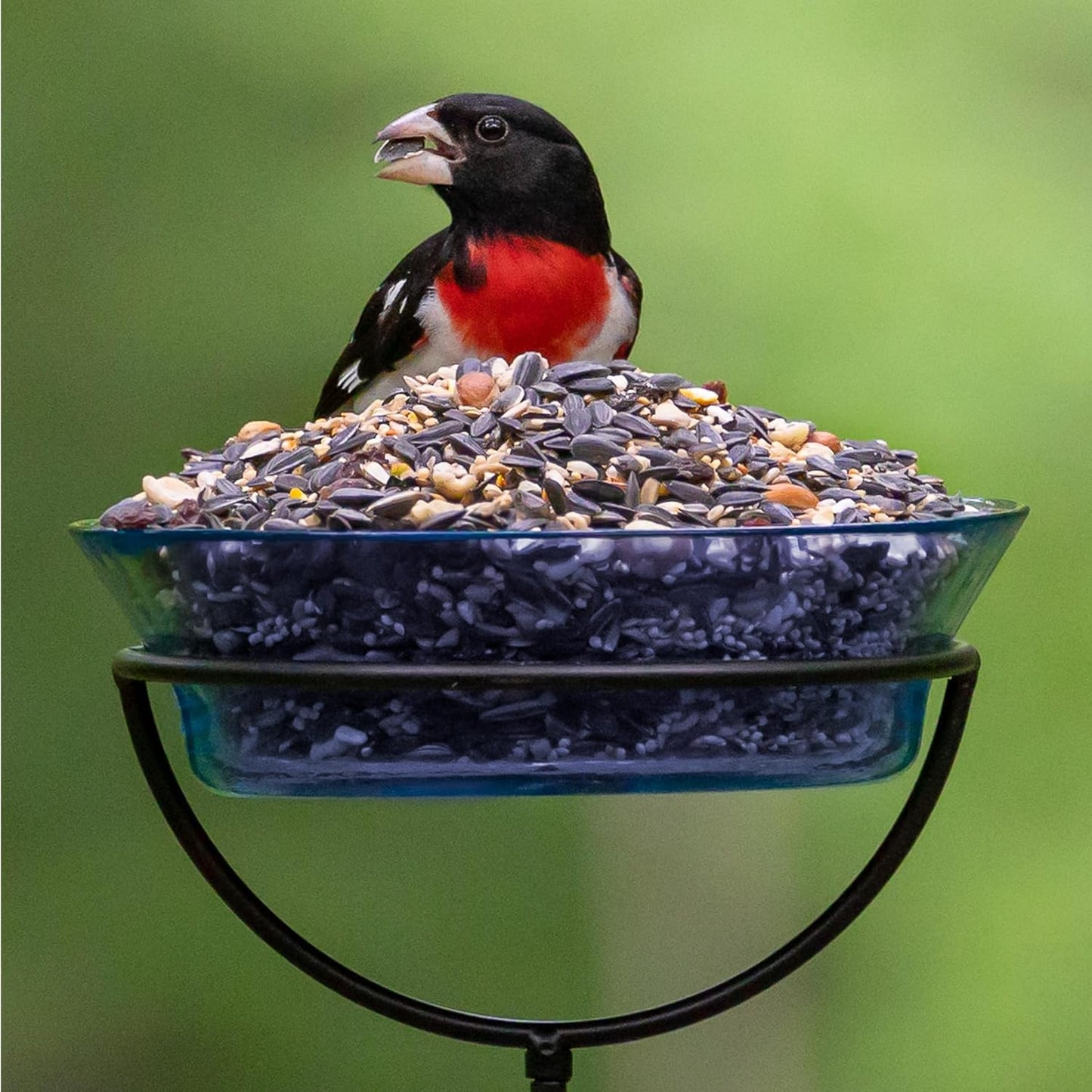 Audubon Park Wild Bird Seed - Extreme Variety Blend for Outdoor Feeders | 15 lb Bag
