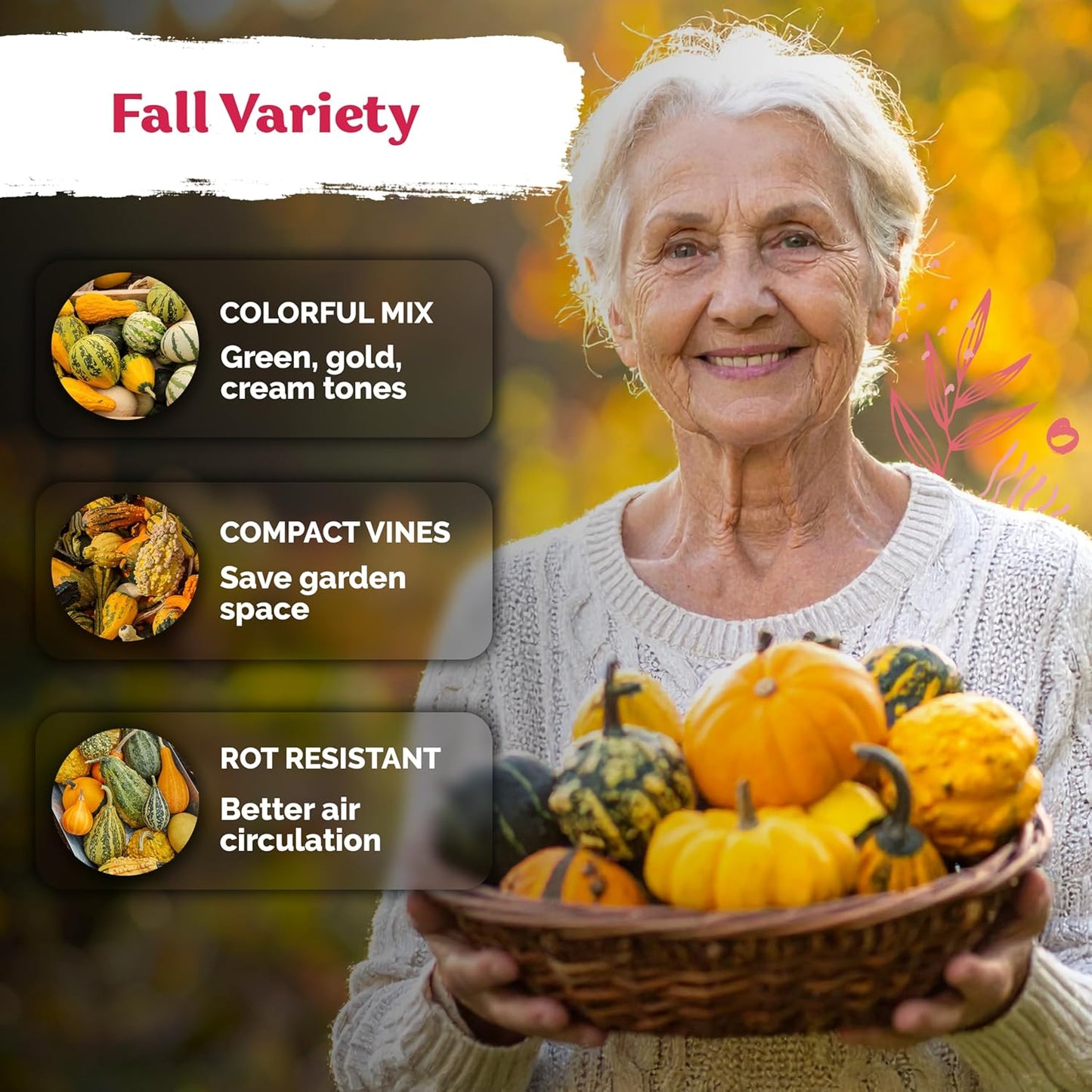 KVITER 50 Small Gourd Seeds Mix - Non-GMO & Organic Decorative Gourds for Fall Decor | Heirloom Seeds