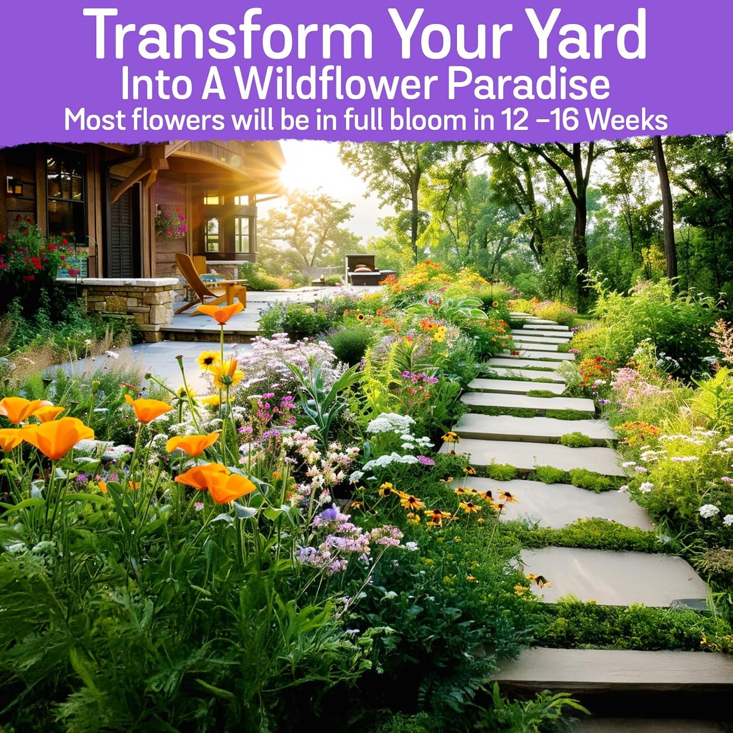 NatureZ Edge Wildflower Seeds Mix - 170,000 Seeds, 35 Varieties of Perennial & Annual Flowers