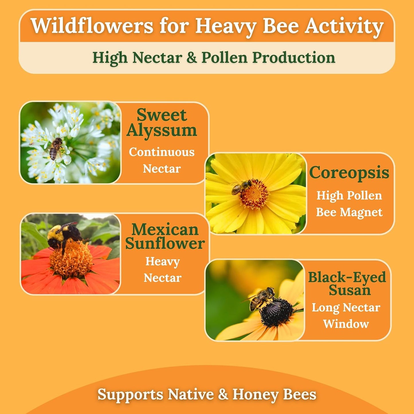 Wildflower Seeds for Bees & Butterflies - 22 Variety Pollinator Mix - 160,000+ Seeds in 4 oz Blend