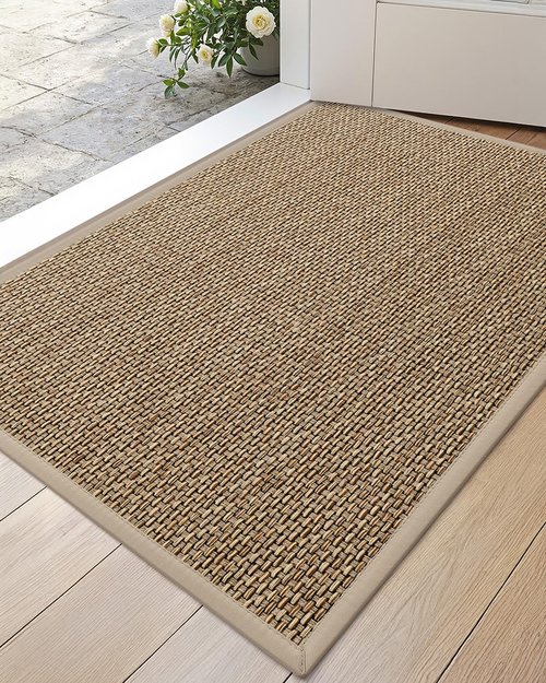 DEXI Ultra Thin Indoor Door Mat - Non-Slip Rubber Backing, Easy Clean Dirt Trapper | 24x36, Beige