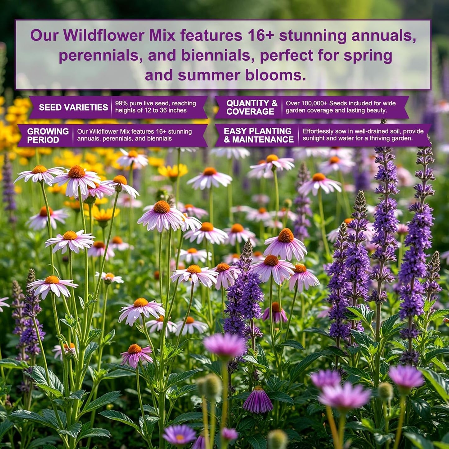 Wildflower Seeds - 200,000+ Non-GMO Heirloom Seeds | 16 Variety Perennial Mix for Pollinator Gardens | Attracts Bees, Birds & Butterflies | 4oz
