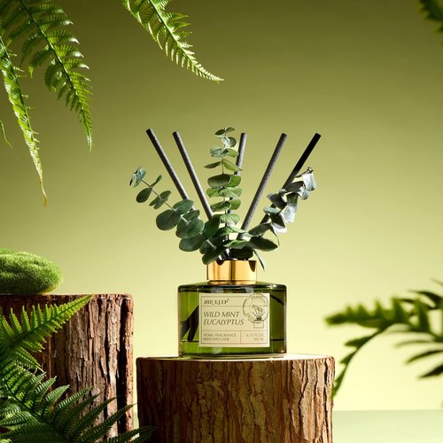 Airkeep Reed Diffuser Set - 6.76 Fl Oz Wild Mint & Eucalyptus Essential Oils | Elegant Home Decor & Air Freshener